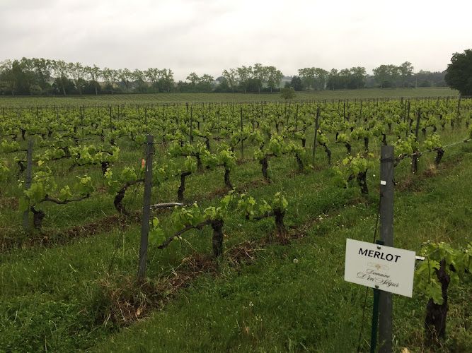 Domaine d'En Ségur