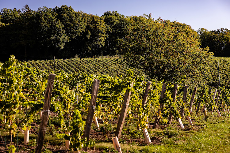 Domaine des Déserts