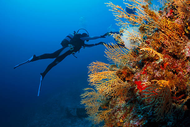 Blue Hole Diving Nord Europe