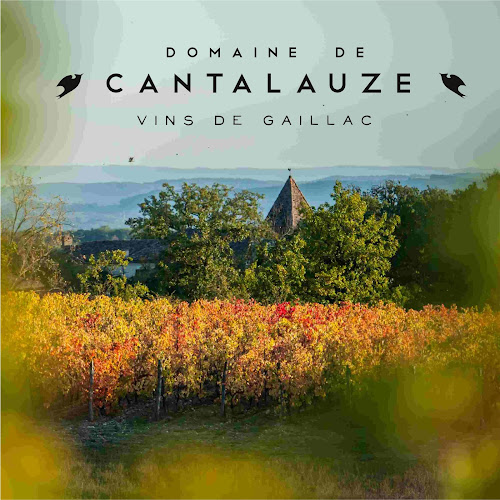 Domaine de Cantalauze, domaine viticole, vigneron, Cahuzac/Vère, Tarn, vins bio de Gaillac, dégustation vente de vin, visite