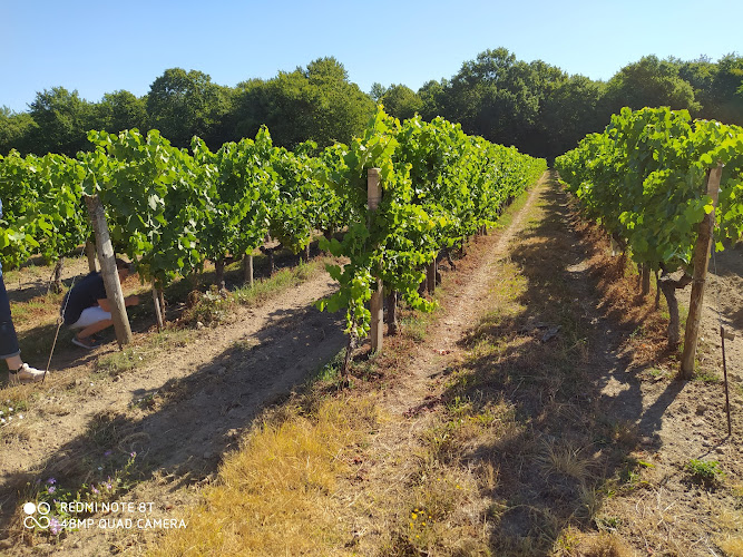 Domaine Poncereau de Haut