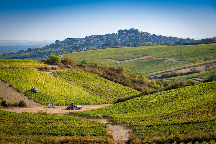 Château de Sancerre – Propriété viticole