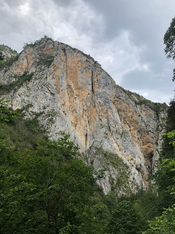 Forêt de la Frau
