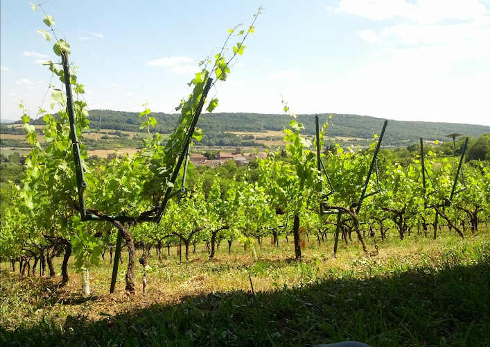 Domaine de la Croix de Mission