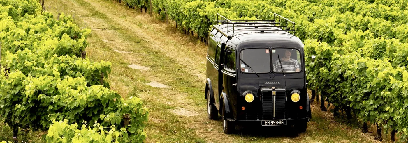 Safari rétro dans le vignoble