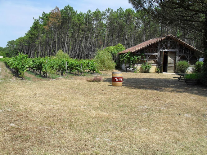 Bergerie des Vignerons de Tursan Messanges
