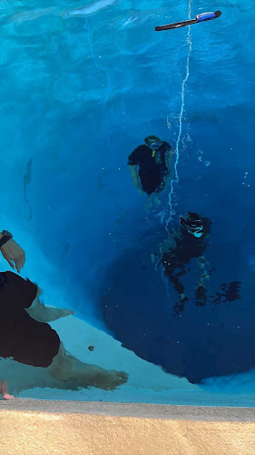 Freedive Evolution