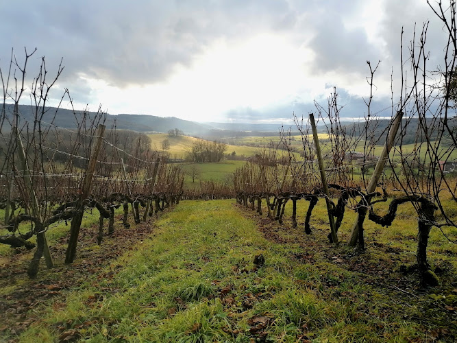 Domaine CAMUS RENAUT (SCEA les Coteaux De Coiffy)