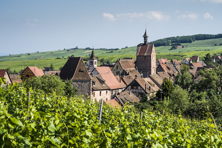 Domaine Agapé – Vins d’Alsace Biologiques, Caveau de Dégustation & Gîtes de charme