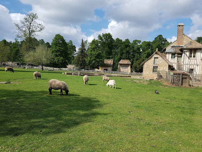 Farm