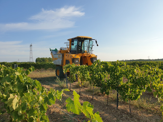 Domaine Cognac VAUDON & Cognac François VOYER [ distillerie & Visites]