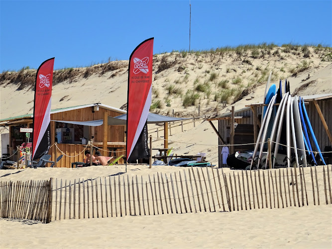 ESCF Ecole de Surf du Cap Ferret