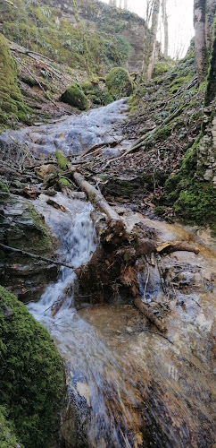 Gorges de la Vingeanne