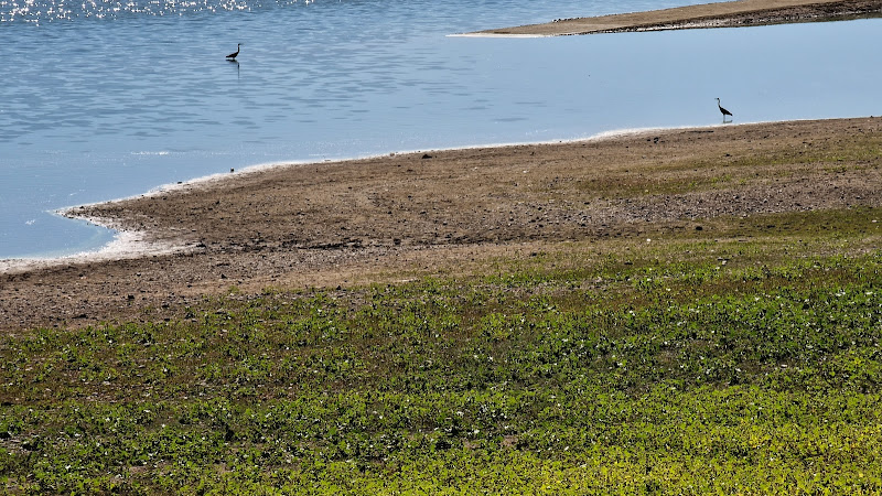 base nautique lac d'Astarac