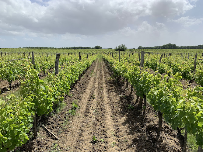 Domaine de Combet