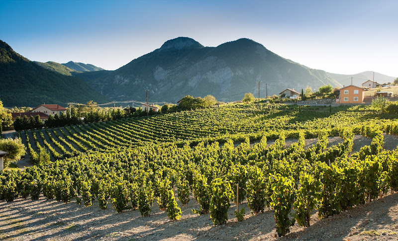 Domaine Allemand
