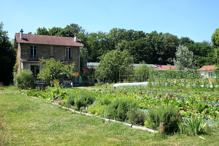 V'île Fertile