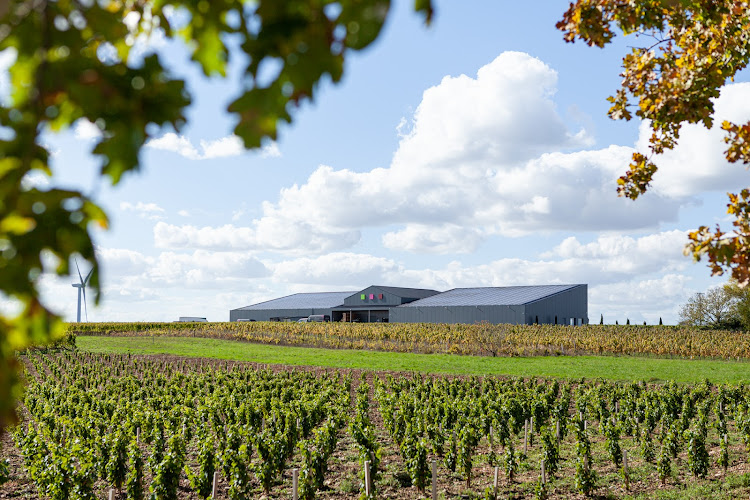 Domaine Mercier - MD Vins