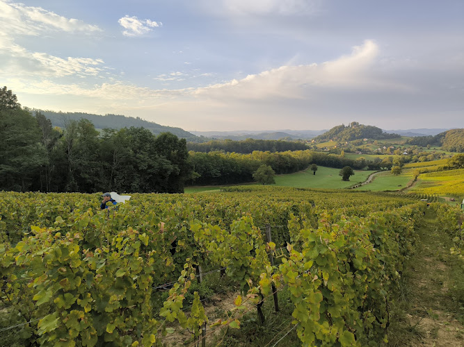 Domaine de Montbourgeau (Jura)