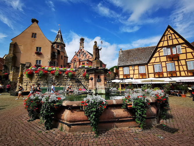 Route des Vins d'Alsace