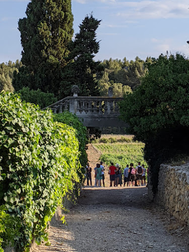 Château la Négly