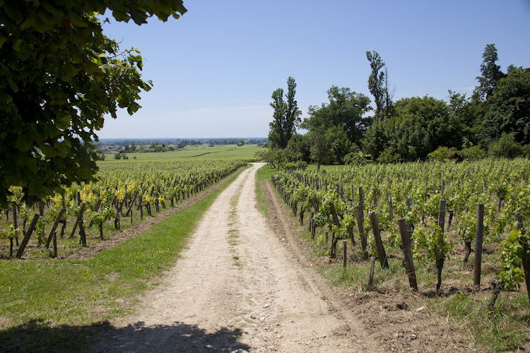 Château Coutet