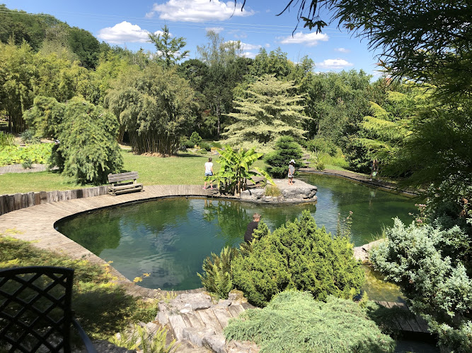 Les jardins aquatiques d'Acorus