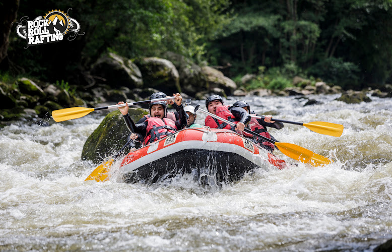 Rock and Roll Rafting