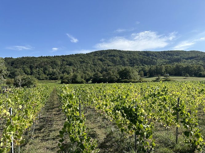 Château La tour de Marignan