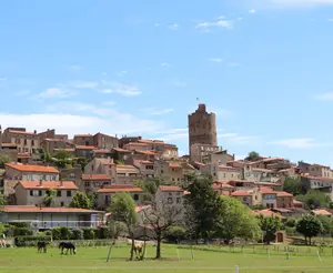 Montpeyroux