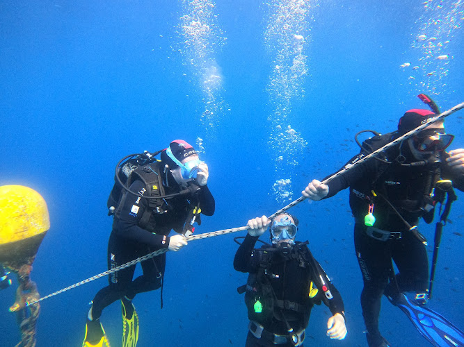 Bonifacio Plongée - Diving Center