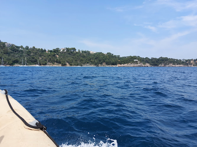 Toulon Plongée