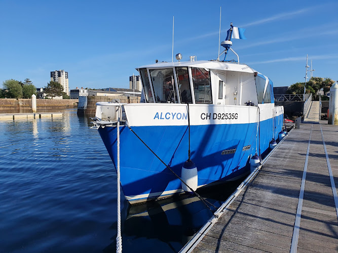 Cherbourg Natation Plongée