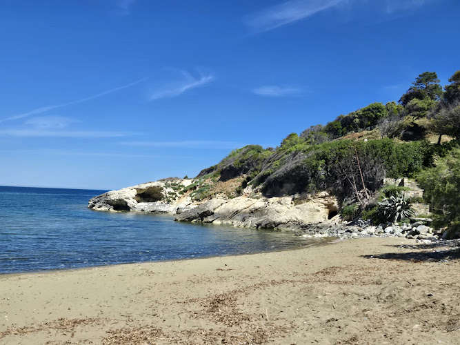 Ecole de Surf et Paddle Cap Corse Farinole