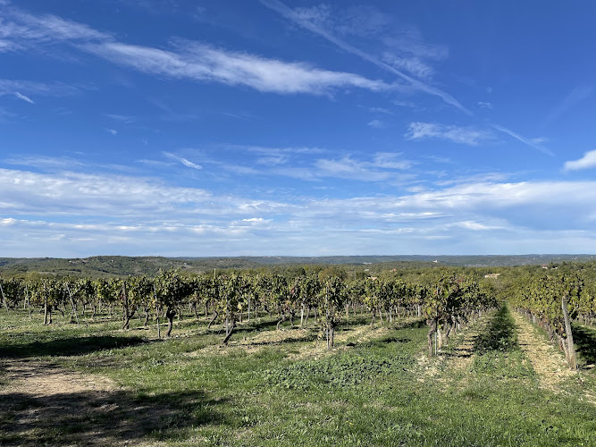 Domaine Rességuier