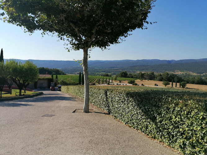 Vignoble Chasson - Château Blanc