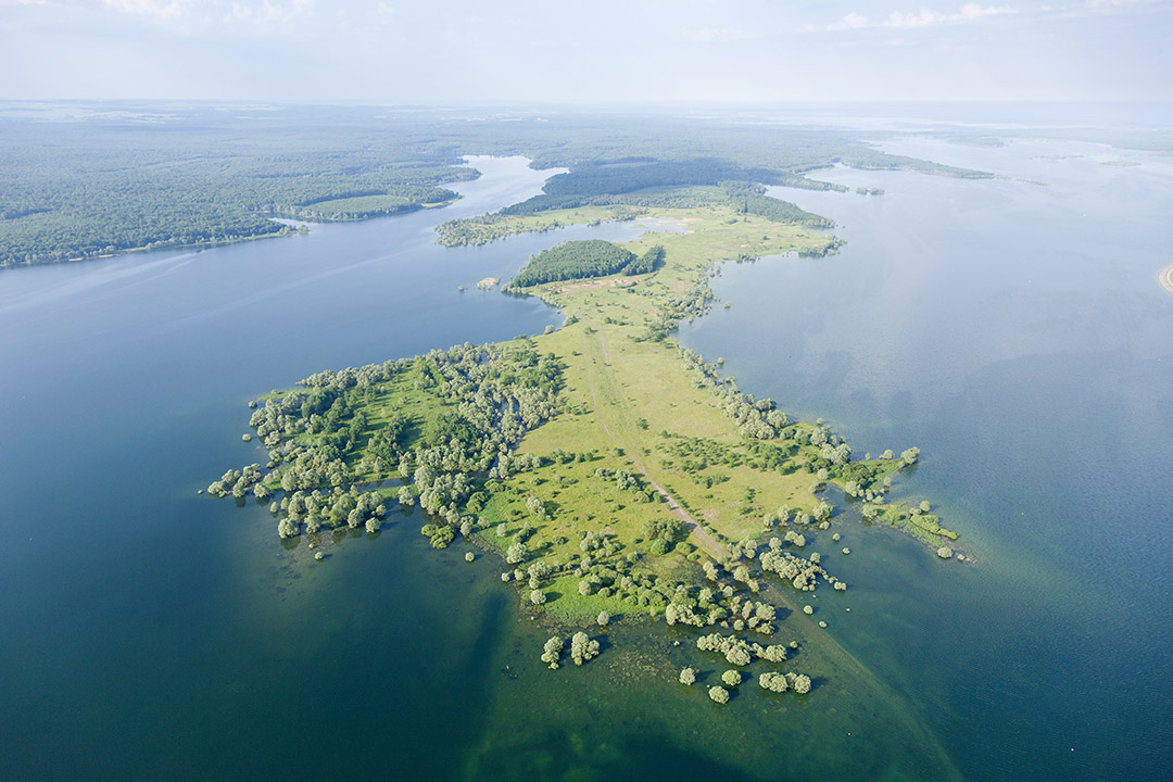 Forêt d'Orient