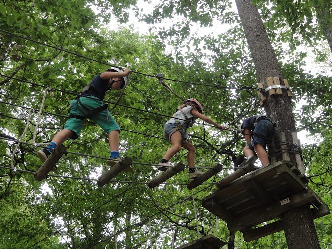 ACROGIVRY Explor'Games - Les Druides de Cellardhor